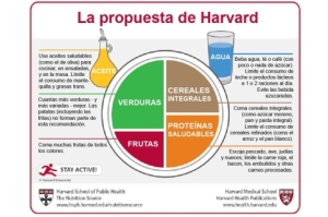 plato saludable harvard